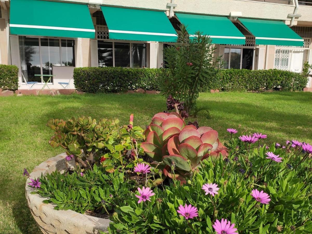Sunrise Estudio Zebra, Con Vistas Jardin Y Mar Miami Playa Exterior foto